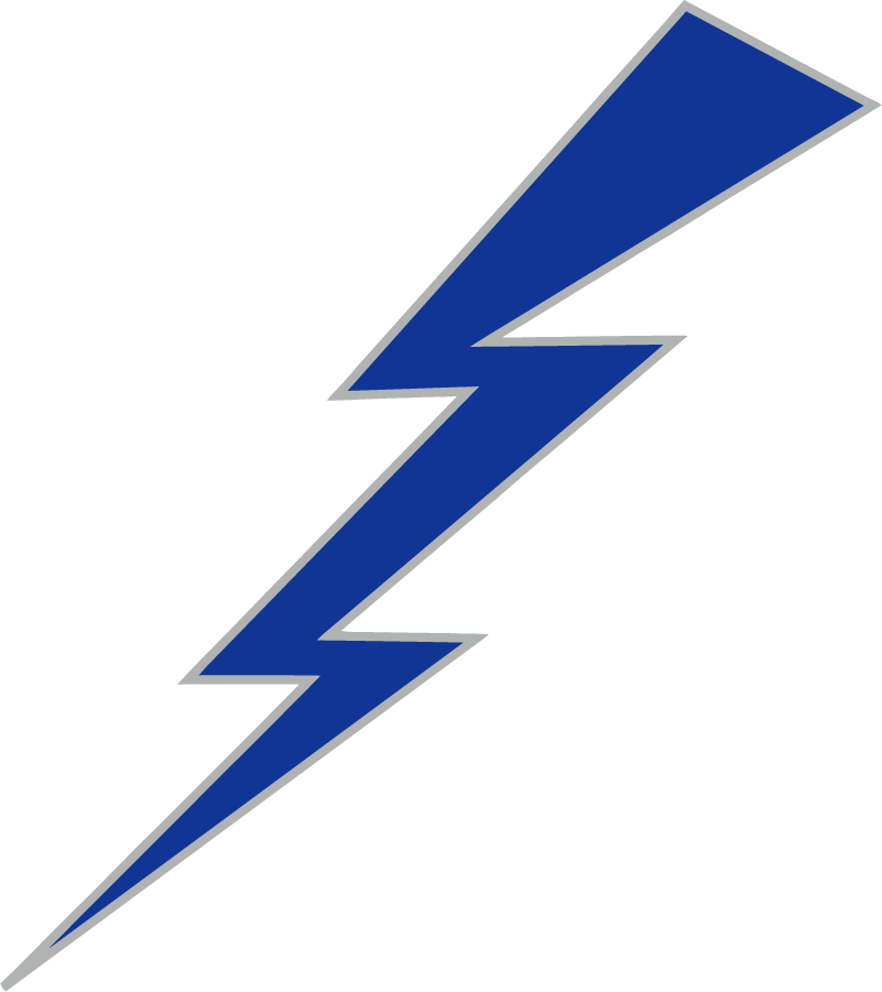 Air Force Falcons 2020-Pres Secondary Logo v2 diy iron on heat transfer